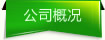 公司概況